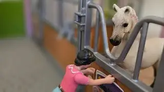 Opening a Huge Surprise Schleich Lot!