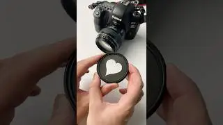 Этот простой трюк делает фотографии кошек волшебными!