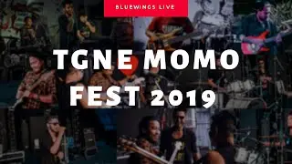 Blue wings LIVE at TGNE MOMO FEST 2019