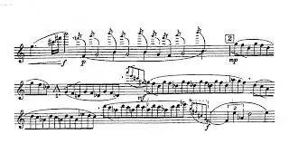 [Pēteris Vasks] Landscape with Birds for Flute Solo (Score-Video)