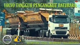 150 TON BATUBARA, VOLVO FH16 550 DOUBLE VESSEL, MERAYAP DI TANJAKAN PT INDOMINCO BONTANG