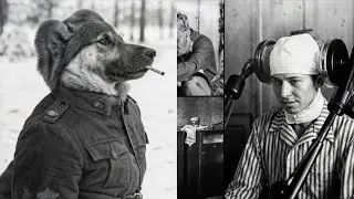 45 Iconic Historical Images A Random Collection You need to See