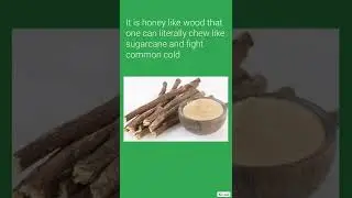 What is Mulethi, Licorice Root, the amazing herb to fight common cold and cough