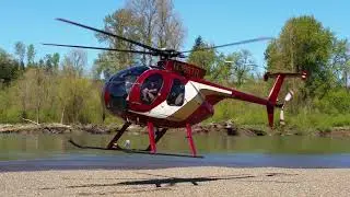 Hughes 500D