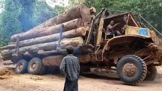 Old Power Heavy-Duty Truck Stuck in Deep Mud &ndash; Struggles to Move🚛