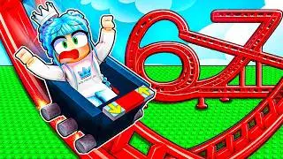 Can I SURVIVE This CRAZY Roller Coaster?!