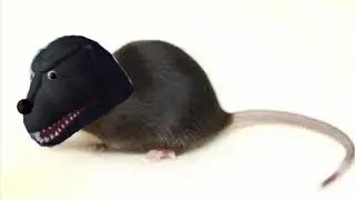 Ratzilla
