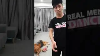 En Motion Online Tutorial - Salsa Solo and Partner