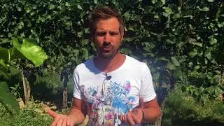 St Laurent - the Queen of Austrian wine, with Johannes Trapl