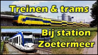 Treinen Trams Bussen bij station Zoetermeer (Driemanspolder)