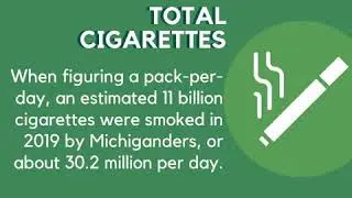 Tobacco Economics: Michigan