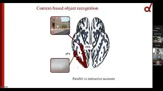 Context-Based Object Recognition, Dr. Marius Peelen