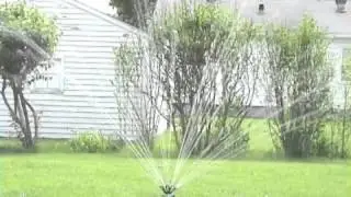 Noodlehead Water Sprinkler | Gardeners Edge
