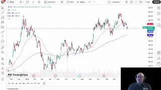 Tesla Price Analysis: TSLA Continues to See Support
