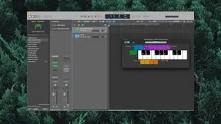 Mastering Beat Making with the SP-404 MK2: DAW Connection and the SP-404 MK2 App