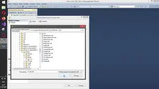 MS Sql. Импорт из .mdf