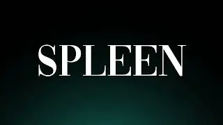 Learn How to Pronounce 'Spleen'! Correctly (Medical Term)