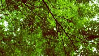 [LEON] Some Other Time [Vocaloid Original Song]
