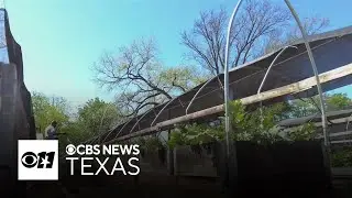This South Dallas farm is growing food, jobs, and second chances