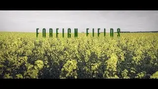 Foreign Fields | Cinematic | RX100 IV | #20