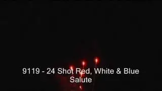 9119 :24 SHOT RED, WHITE & BLUE SALUTE ( 25 Seconds)