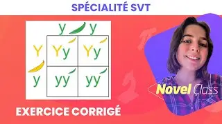 Faire un Test Cross - SVT