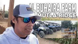 MUTLA RIDGE TO AL BUHAIRA FARM ABDALLY #ofwkuwait #roadtrip #pinoytaxi #outing