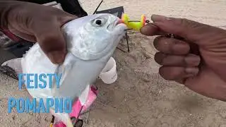 Corpus Christi TX. fishing. First day back down at P.I.N.S 2026 Caught some Pompano