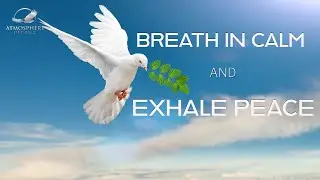 Find Inner Calm with These Uplifting Words