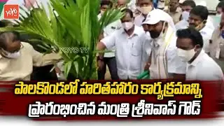 Minister Srinivas Goud Participates Haritha Haram program | Cm KCR Haritha Haram | YOYO TV Channel