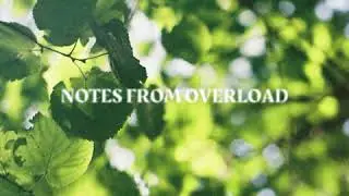 Notes from Overload 007 (feat. Basic Channel, Skee Mask, Djrum)