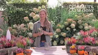 Beauty Seasons® - DIY Bastelidee - herbstliches Windlicht mit Heide verziert | Tischdekoration