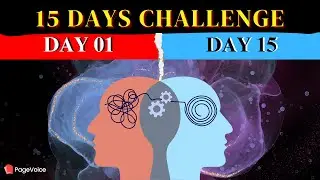 I Tried a 15-Day Flow Challenge for Happiness | Book Summary In Hindi