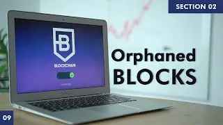Orphaned Blocks | Learn Blockchain | Section 2 | Part 9