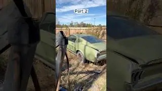 Backyard Fastback Find Часть 2