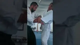 Aikido- Sankyo, Sansukai Aikido #aikido #kampfsport #martialarts #aikikai #germany