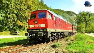 Trenuri în Defileul Crișului Repede/Trains in Crișului Repede Canyon - 02 October 2021