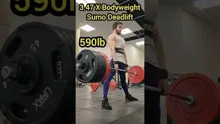 590lb Sumo Deadlift (3.47xBW)