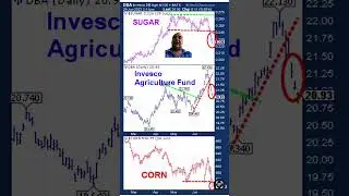 Food Prices Reverse And Plunge.  #trading #commodities #corn #sugar #inflation
