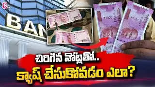 చిరిగిన నోట్లను క్యాష్ చేసుకోవడం ఎలా? | How To Change Damage Currency |  SumanTV Telugu