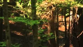 J-Day Off Road Rd 7: Nytro River Rush GP