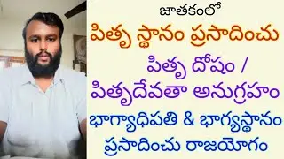 9th HOUSE - Bhagya & Pitru Sthana • Fortune, Blessings from Ancestors & Ancestral Curse • 9th Lord