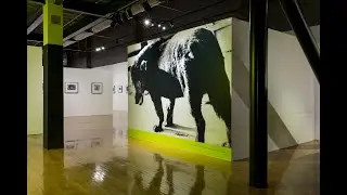 The Provoke Era: Japanese Photography from the Collection of SFMOMA