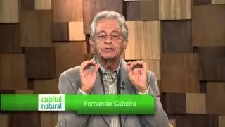 CN | Biomimética