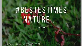#Bestestimes Nature
