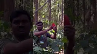 Assistant Conservator of Forest training I working Plan exercise #acf #casfos #forester  #naga