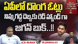 Fake Votes In Andhra Pradesh | Election Commission of India |  Nimmagadda Ramesh | Wild Wolf Digital