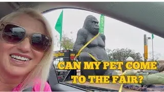 What Happens If I Bring Your Pet to the Del Mar Fair?