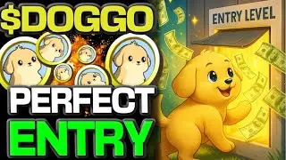 МОНЕТА $DOGGO НА СОЛАНЕ НАХОДИТСЯ НА ИДЕАЛЬНОМ НАЧАЛЬНОМ УРОВНЕ!!!