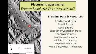 Wildlife issues for transportation planning on federal lands